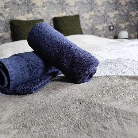 Le Loft De La Tour - Grand Appartement Prox Centre Ville セレスタ