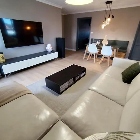 Le Loft De La Tour - Grand Appartement Prox Centre Ville アパート セレスタ